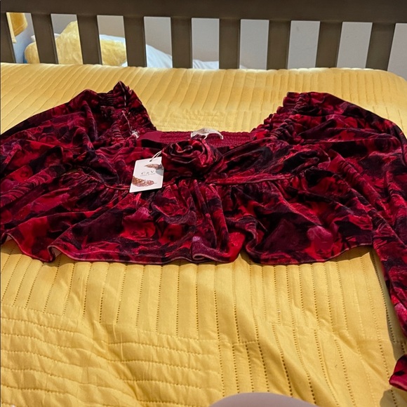 Elegant Red Velvet Women's Top - Picture 1 of 7
